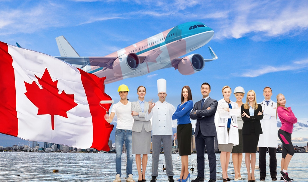 Navigating Success The Role of Desi Immigration Consultants in Mississauga