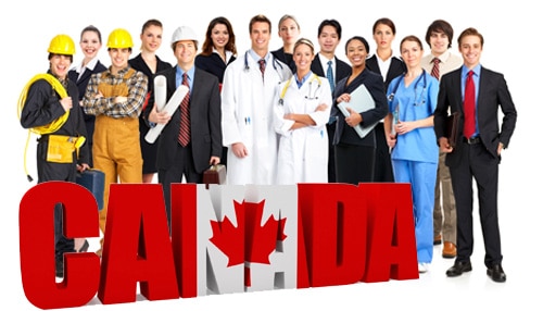 Top 20 Occupations in Canada with the Highest Job Vacancies!